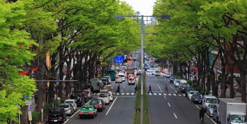 stor gata i tokyo