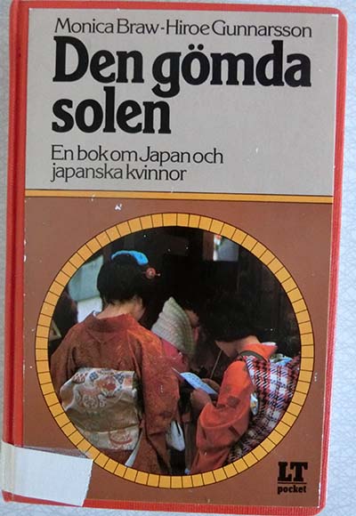 Bokomslag Den gömda solen