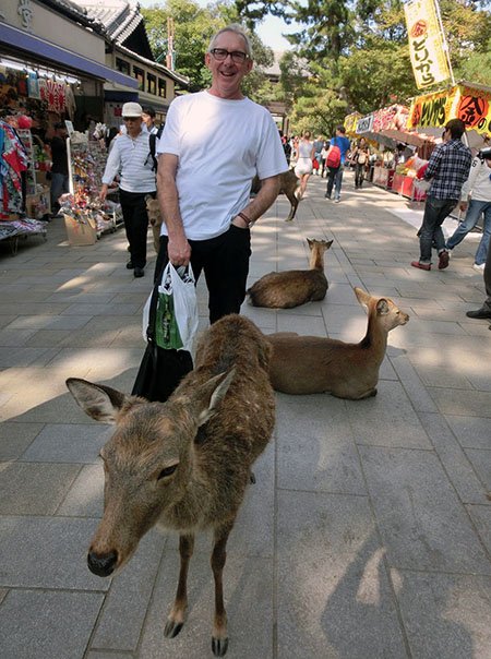 råddjur går fritt i parken i Nara city