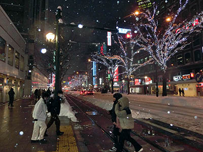 Belysning i träd i Sapporo